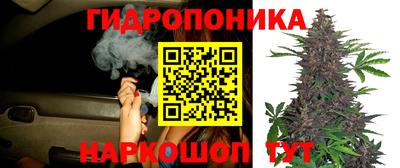 шишки Гагарин