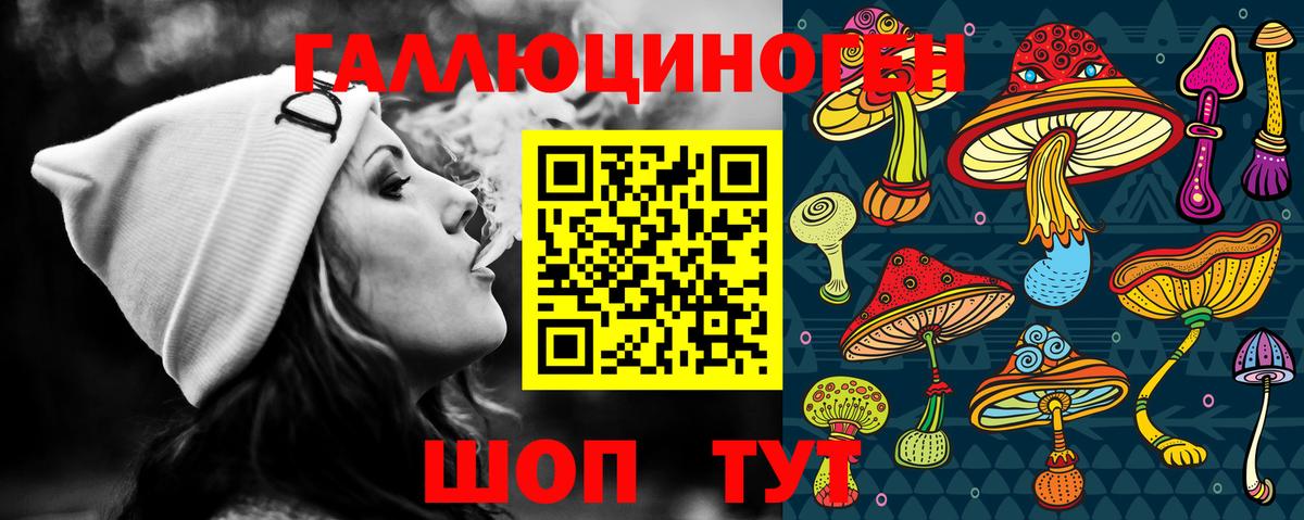Псилоцибиновые грибы Cubensis Малгобек